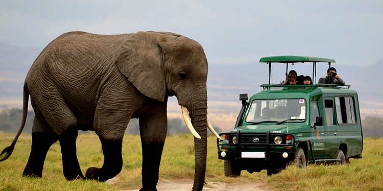 akagera national park